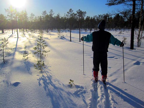 Skidspår
